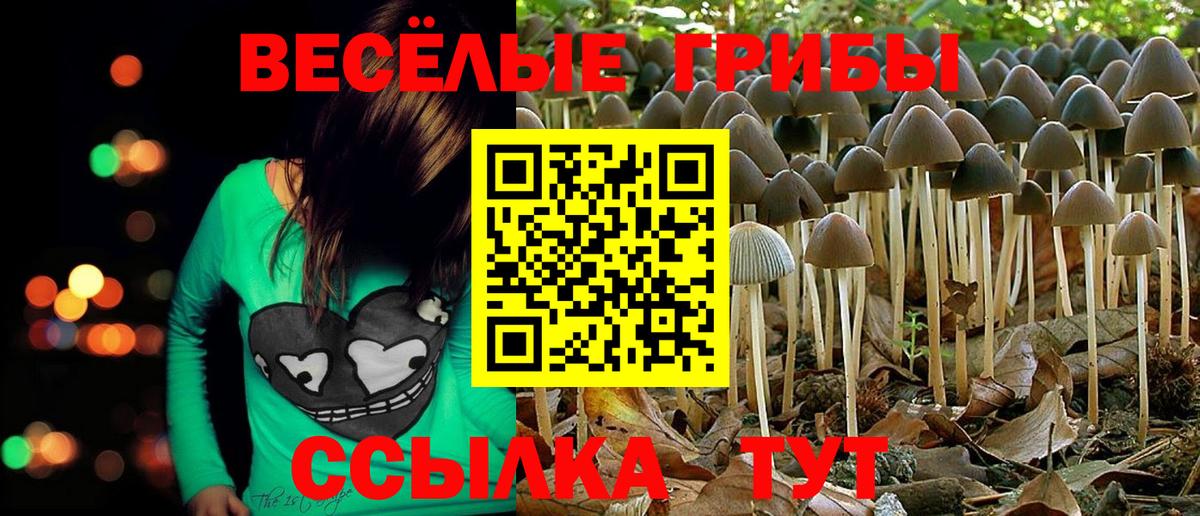 Тобольск  Галлюциногенные грибы Magic Shrooms  Вход с VPN 