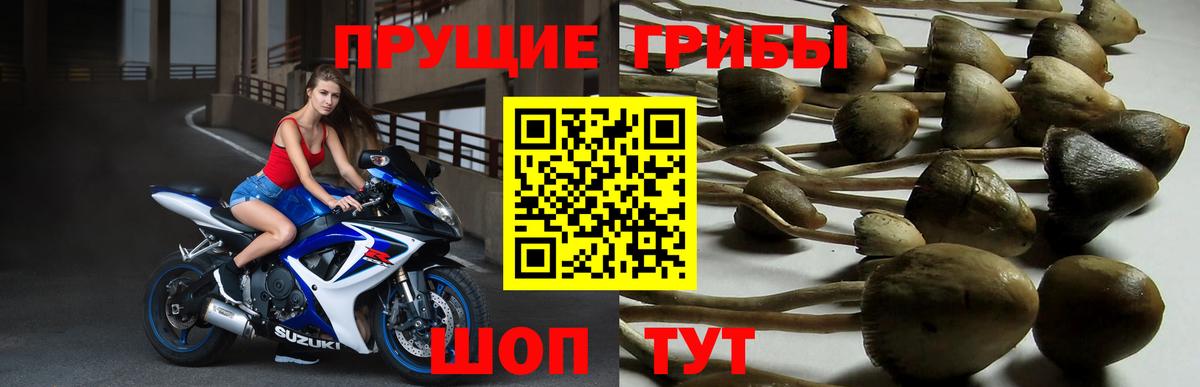 Псилоцибиновые грибы мухоморы Тобольск